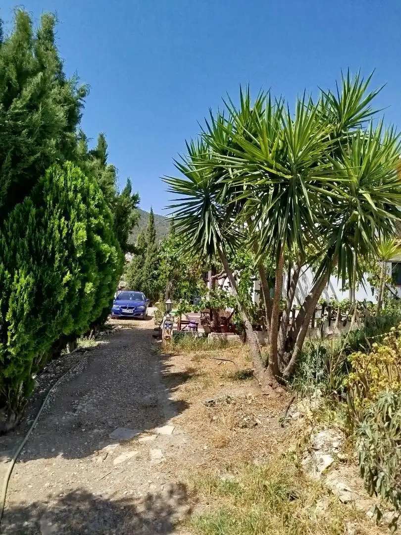 Casa o xalet en venda a Calle Alcalde Juan Ximenez de la Barrera, 14, Algodonales Vista exterior de Casa o xalet en venda en Algodonales amb Calefacció, Jardí privat i Piscina