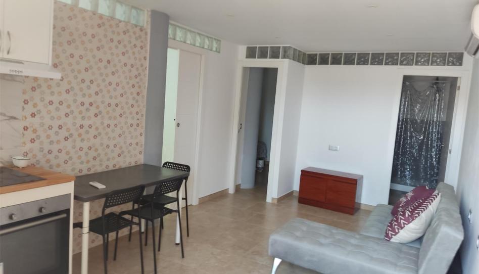 Flat to share in Avinguda Dels Garrofers, 37, Levantina - Montgavina - Quintmar, Barcelona - image 1 Photo 1 of Flat to share in Avinguda Dels Garrofers, 37, Levantina - Montgavina - Quintmar, Barcelona