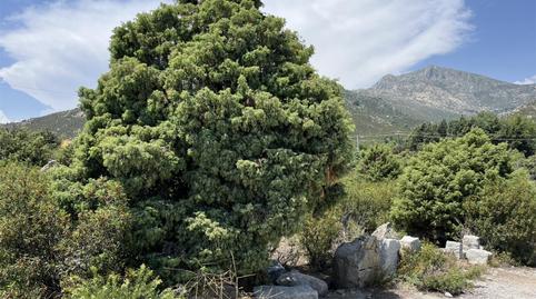Photo 2 of Land for sale in Calle de Quiñones de Álvaro, 3, Mataelpino, El Boalo - Cerceda – Mataelpino
