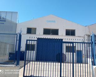 Exterior view of Industrial buildings to rent in Elche / Elx