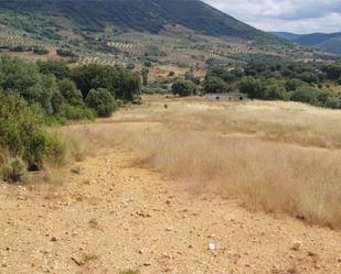 Grundstücke zum verkauf in Robledo del Mazo