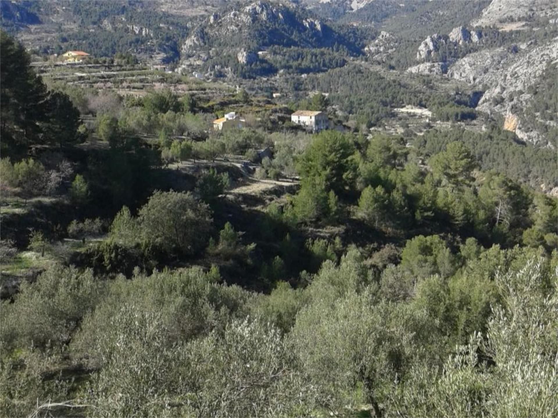 Non-constructible Land for sale in Beniardá