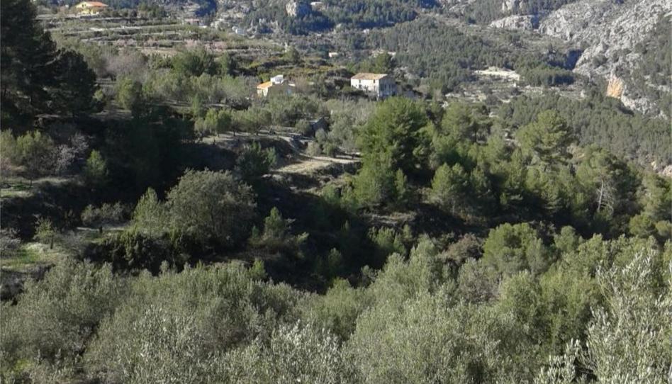 Foto 1 de No Urbanizable en venta en Diseminado Diseminados, 41, Beniardà, Alicante