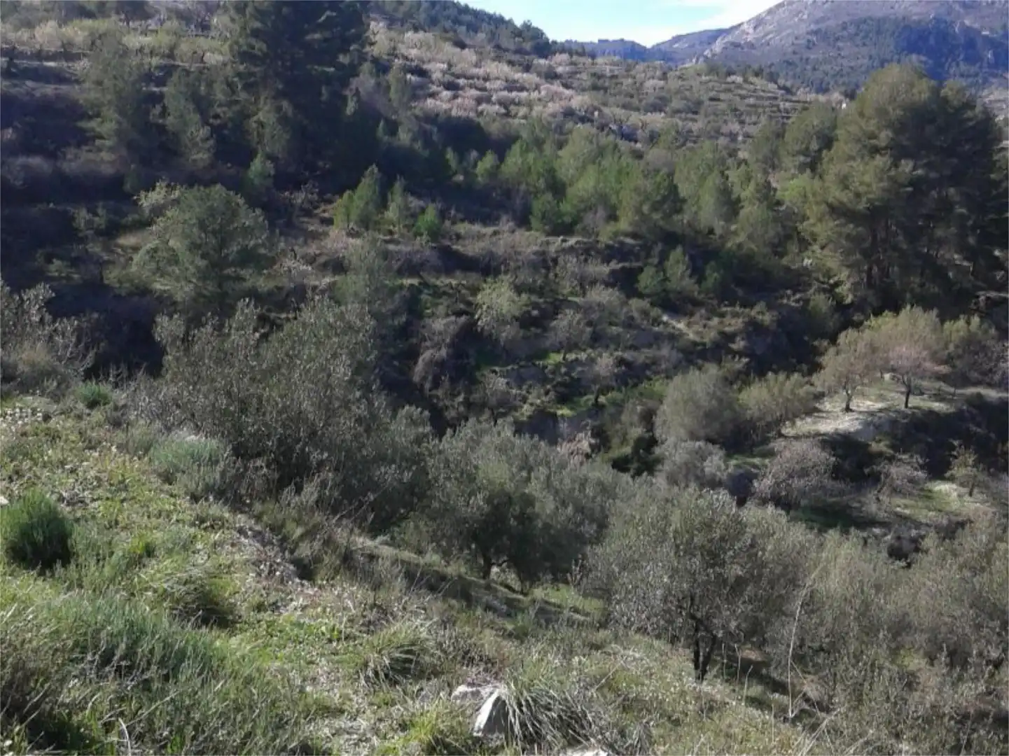 No Urbanitzable en venda a Diseminado Diseminados, 41, Beniardà No Urbanitzable en venda en Beniardà