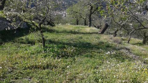 Foto 3 de No Urbanizable en venta en Diseminado Diseminados, 41, Beniardà, Alicante