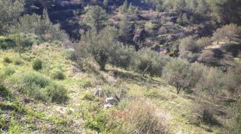 Foto 5 de No Urbanizable en venta en Diseminado Diseminados, 41, Beniardà, Alicante
