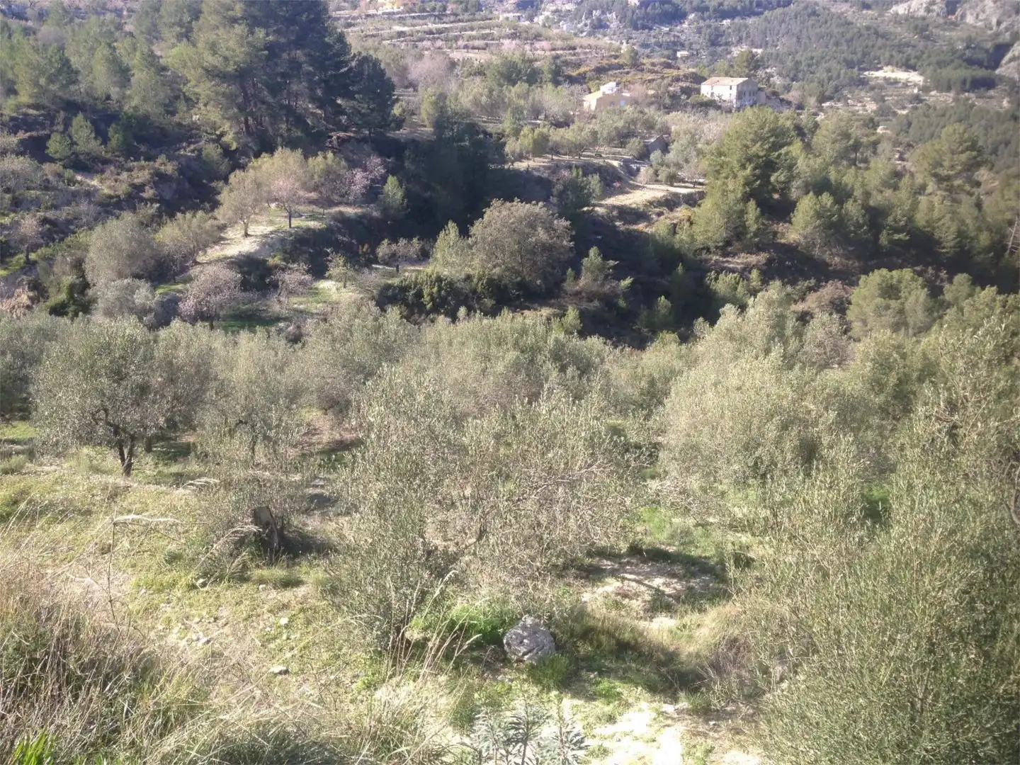No Urbanitzable en venda a Diseminado Diseminados, 41, Beniardà No Urbanitzable en venda en Beniardà