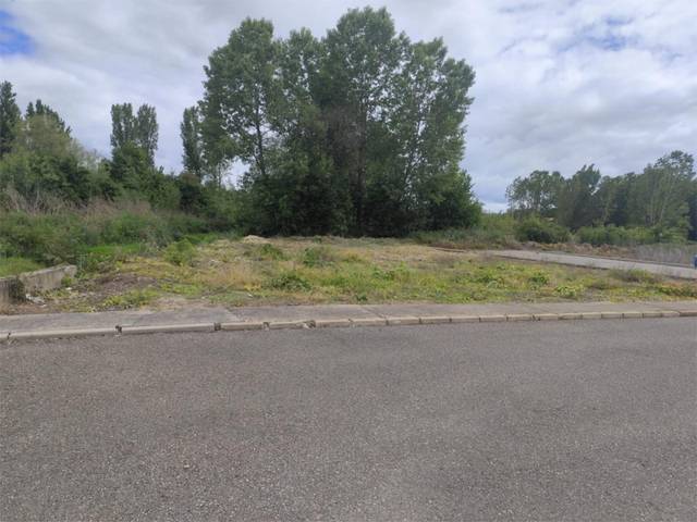 Terreno en Venta en Calle Demetrio Velasco, 29 en Carrizo