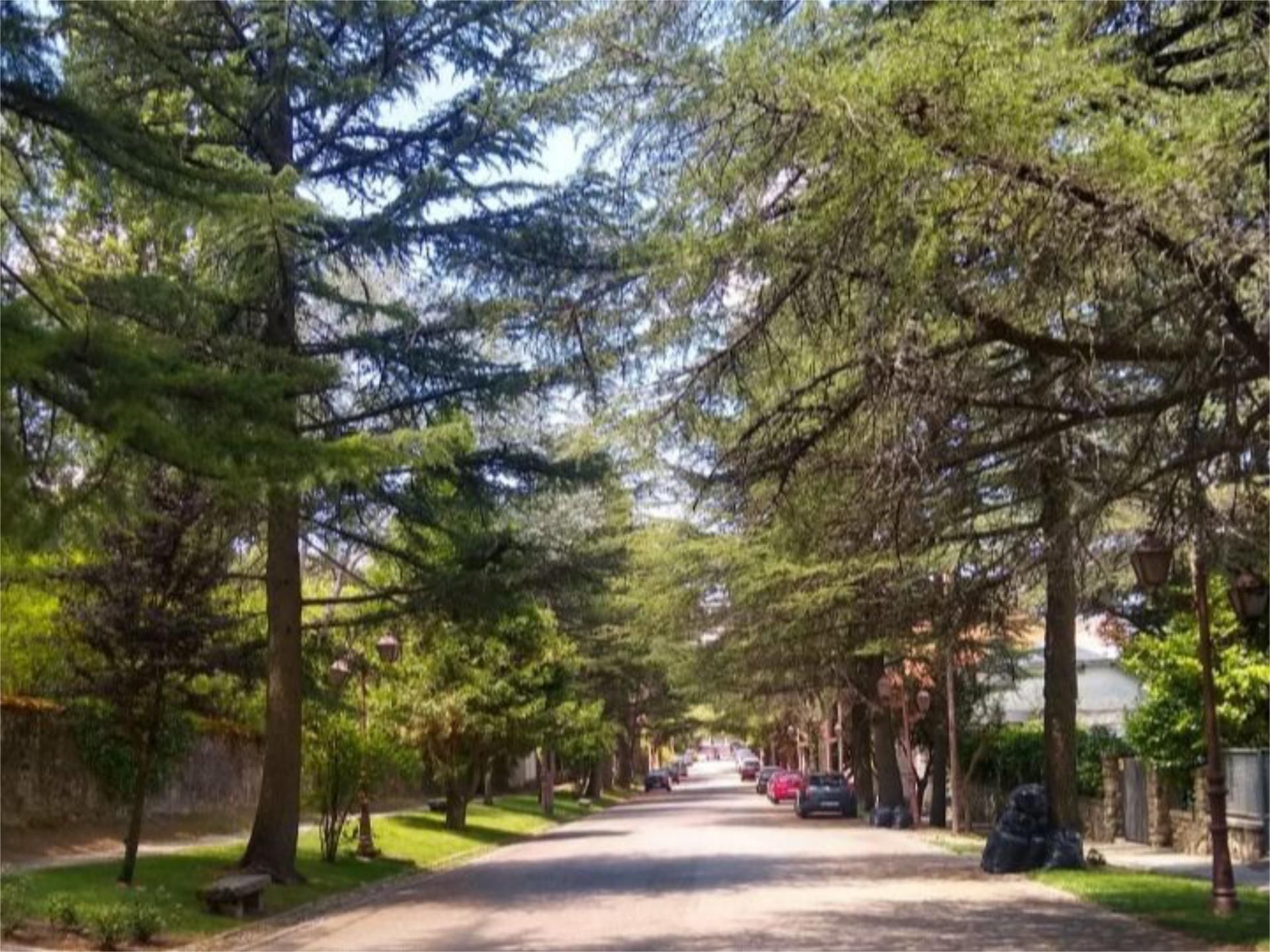 Exterior view of Land for sale in El Espinar