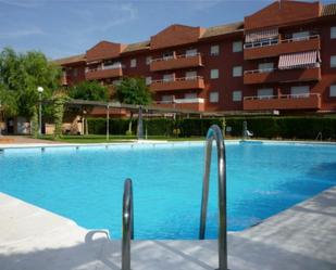 Swimming pool of Flat to rent in Chipiona  with Terrace and Swimming Pool