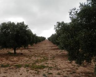 Terreny en venda en Cúllar amb Terrassa i Piscina