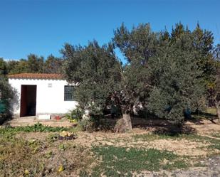 Country house to rent in Carrer Saules, 4, Cervià de Ter