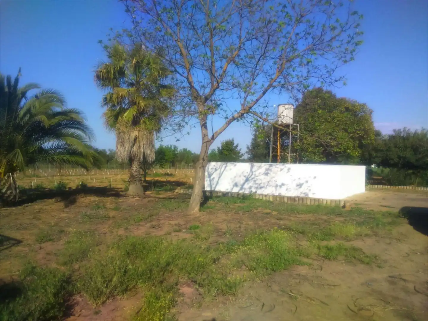Finca rústica en venda en Badajoz
