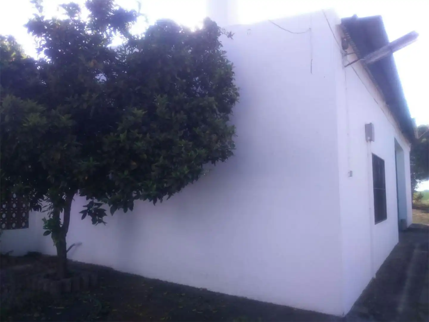 Jardí de Finca rústica en venda en Badajoz