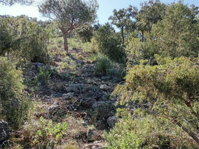 Terreno en Venta en Urbanizacion Nueva Sierra de Altomira, 59 en Albalate de Zorita