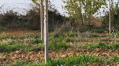 Photo 2 of Industrial buildings for sale in Arrabal Montaña, 78, Benavente, Zamora