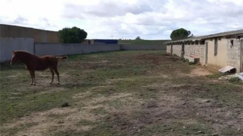 Photo 4 of Country homes for sale in Travesía Arenal, 13, Cañizo, Zamora