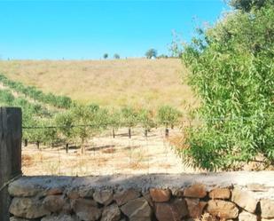 Grundstücke zum verkauf in Vejer de la Frontera