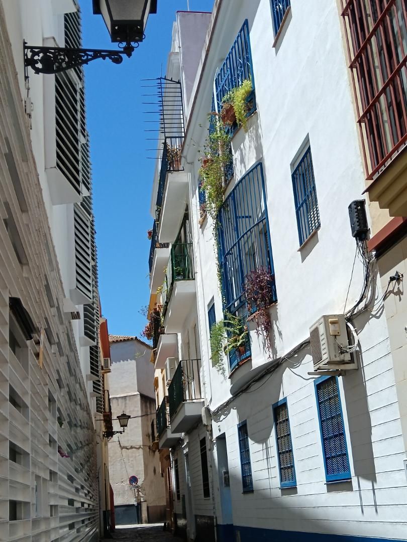 Flat to share in Avenida de Menéndez Pelayo, 67, San Bartolomé Flat to share in Avenida de Menéndez Pelayo, 67, San Bartolomé