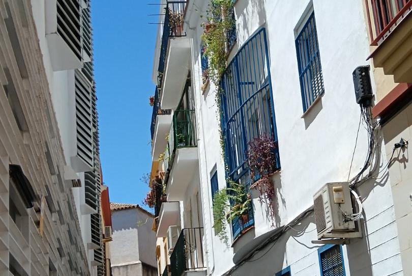 Flat to share in Avenida de Menéndez Pelayo, 67, San Bartolomé, Sevilla Capital - image 1 Photo 1 of Flat to share in Avenida de Menéndez Pelayo, 67, San Bartolomé, Sevilla Capital