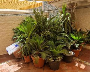 Garden of Attic for sale in Cenes de la Vega  with Air Conditioner, Terrace and Balcony