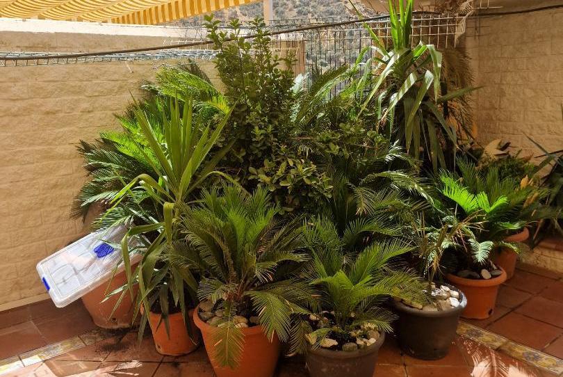 Àtic en venda a Avenida de la Sierra Nevada, 93, Cenes de la Vega, Granada - imatge 1 Foto 1 de Àtic en venda a Avenida de la Sierra Nevada, 93, Cenes de la Vega, Granada