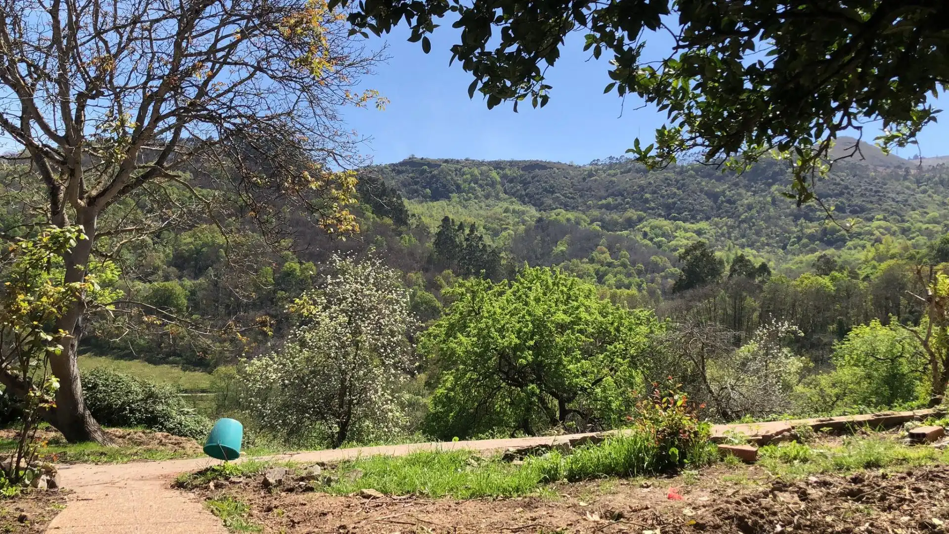 Finca rústica en venta en Oviedo 