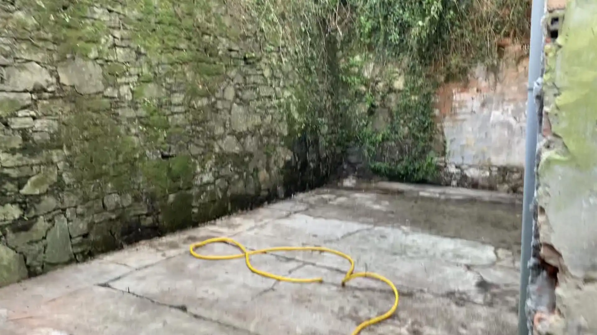 Jardín de Local en venta en Avilés