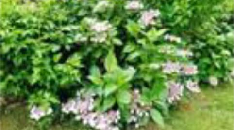 Casa o xalet en venda a Calle General, 3, Molledo, Cantabria - imatge 3 Foto 3 de Casa o xalet en venda a Calle General, 3, Molledo, Cantabria