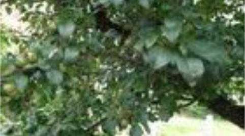 Casa o xalet en venda a Calle General, 3, Molledo, Cantabria - imatge 4 Foto 4 de Casa o xalet en venda a Calle General, 3, Molledo, Cantabria