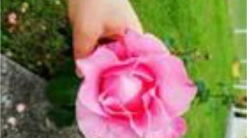 Casa o xalet en venda a Calle General, 3, Molledo, Cantabria - imatge 5 Foto 5 de Casa o xalet en venda a Calle General, 3, Molledo, Cantabria