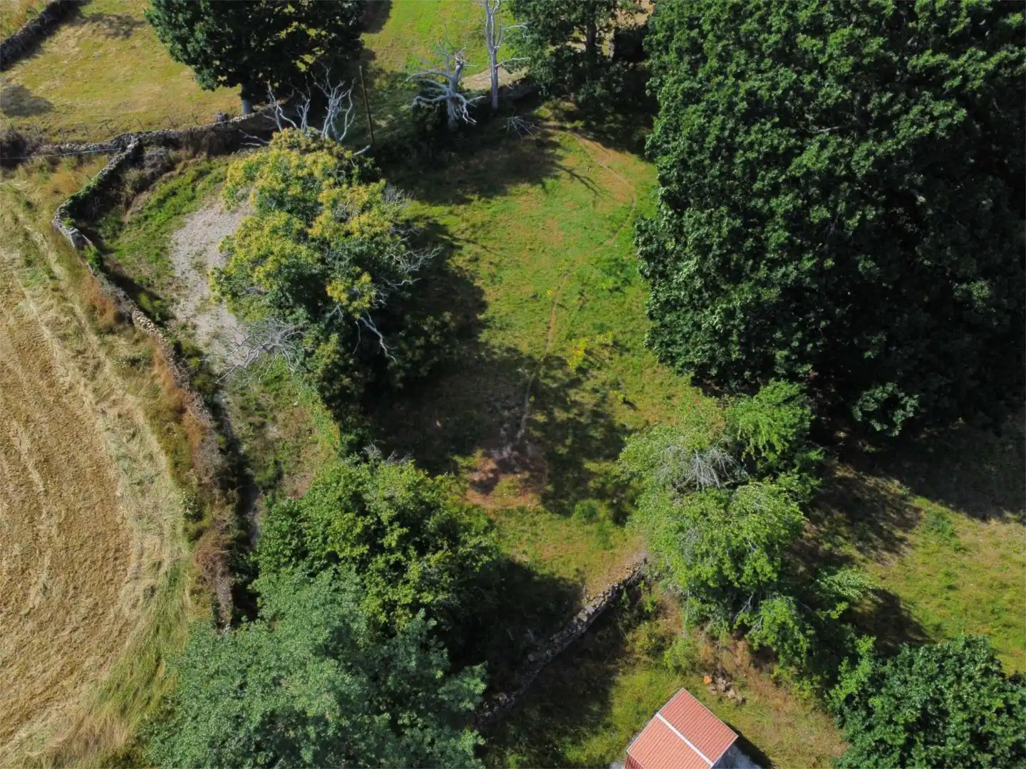 Land for sale in Merindad de Sotoscueva