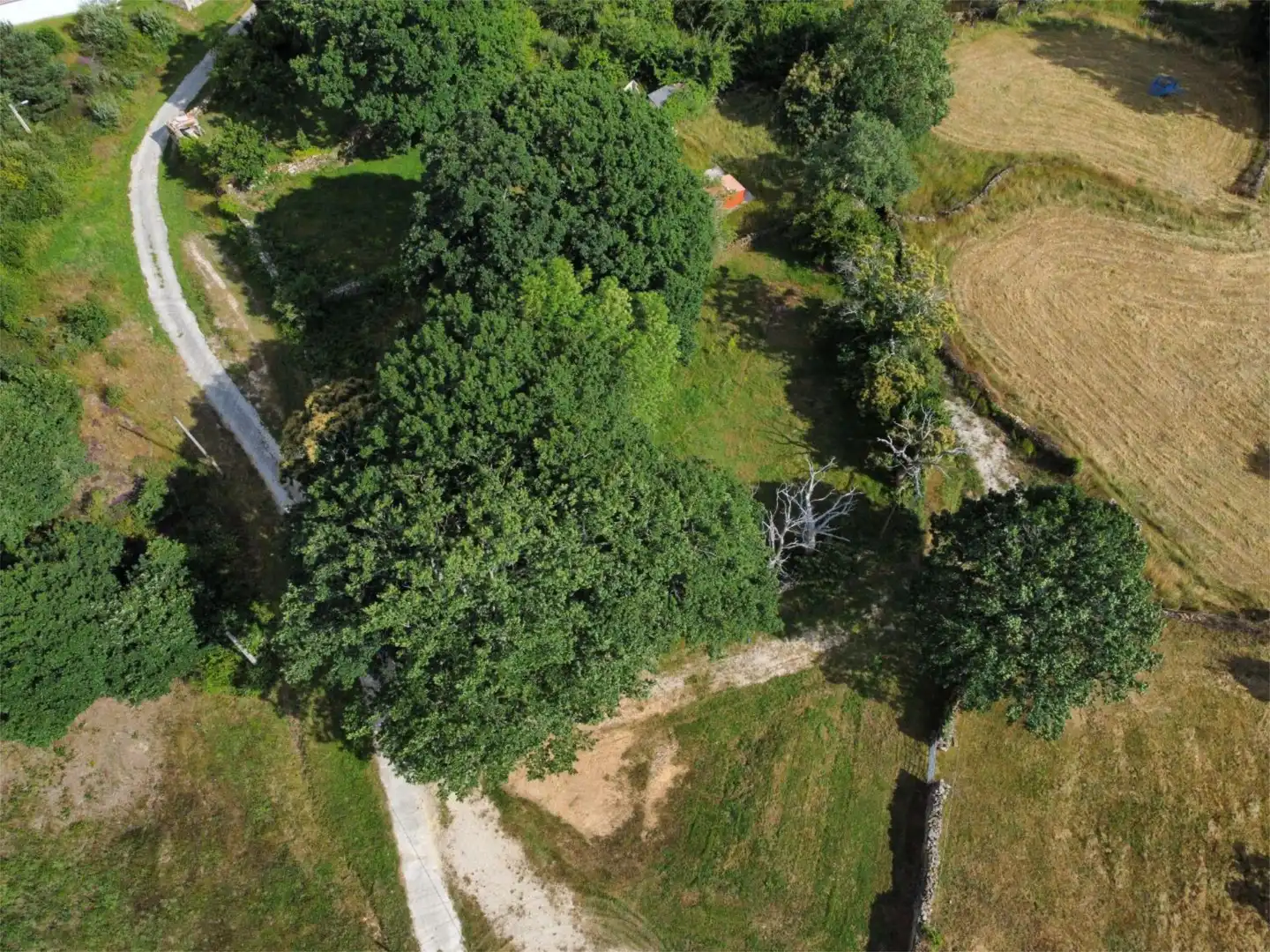 Land for sale in Merindad de Sotoscueva