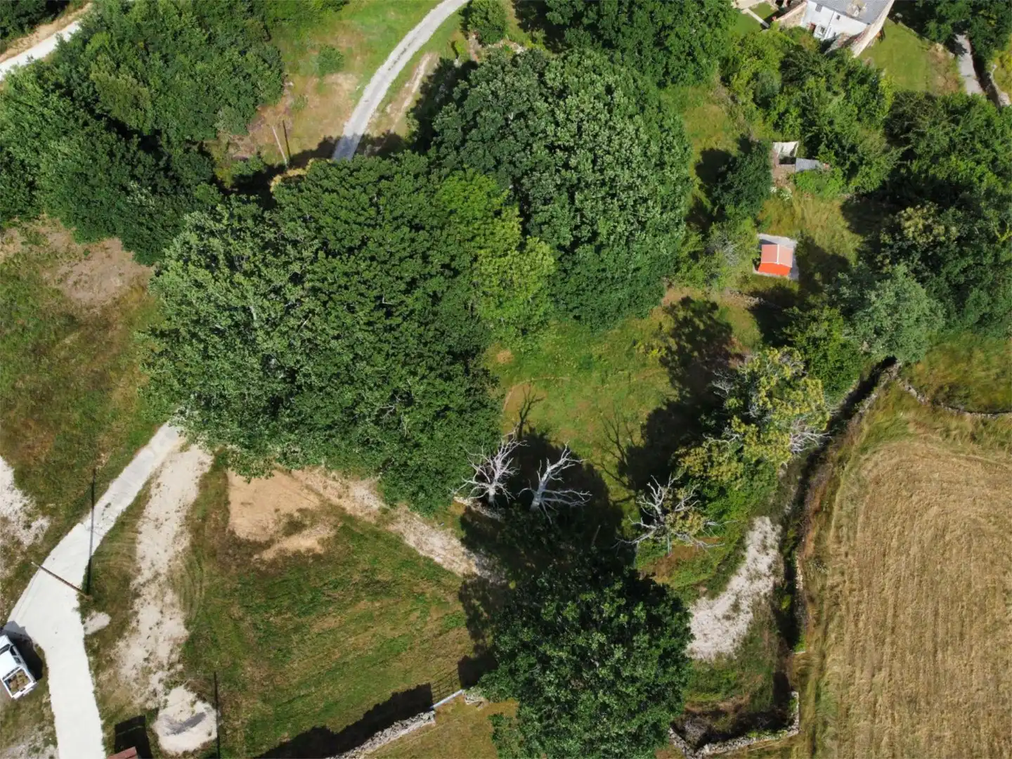 Land for sale in Merindad de Sotoscueva