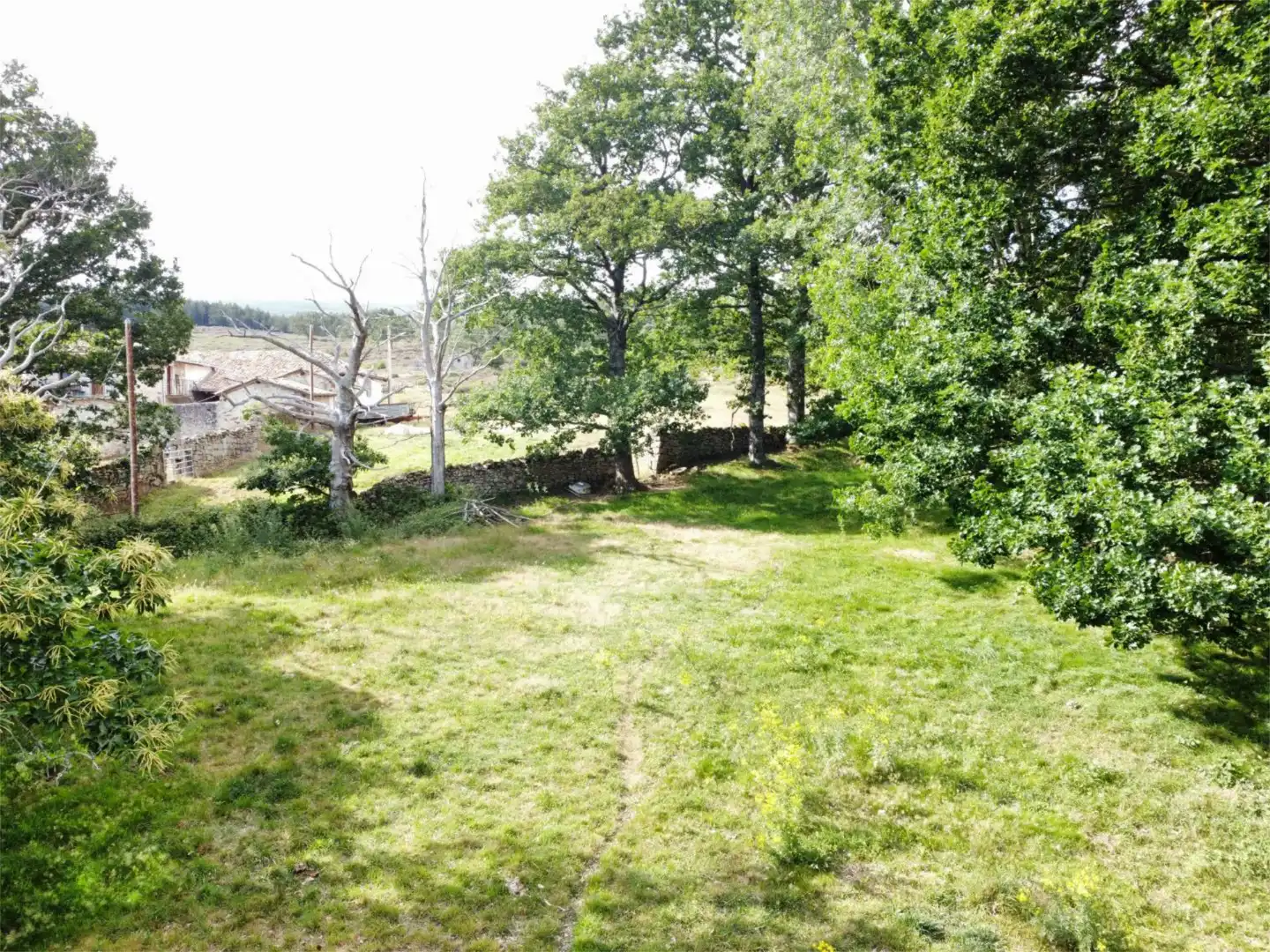 Land for sale in Merindad de Sotoscueva