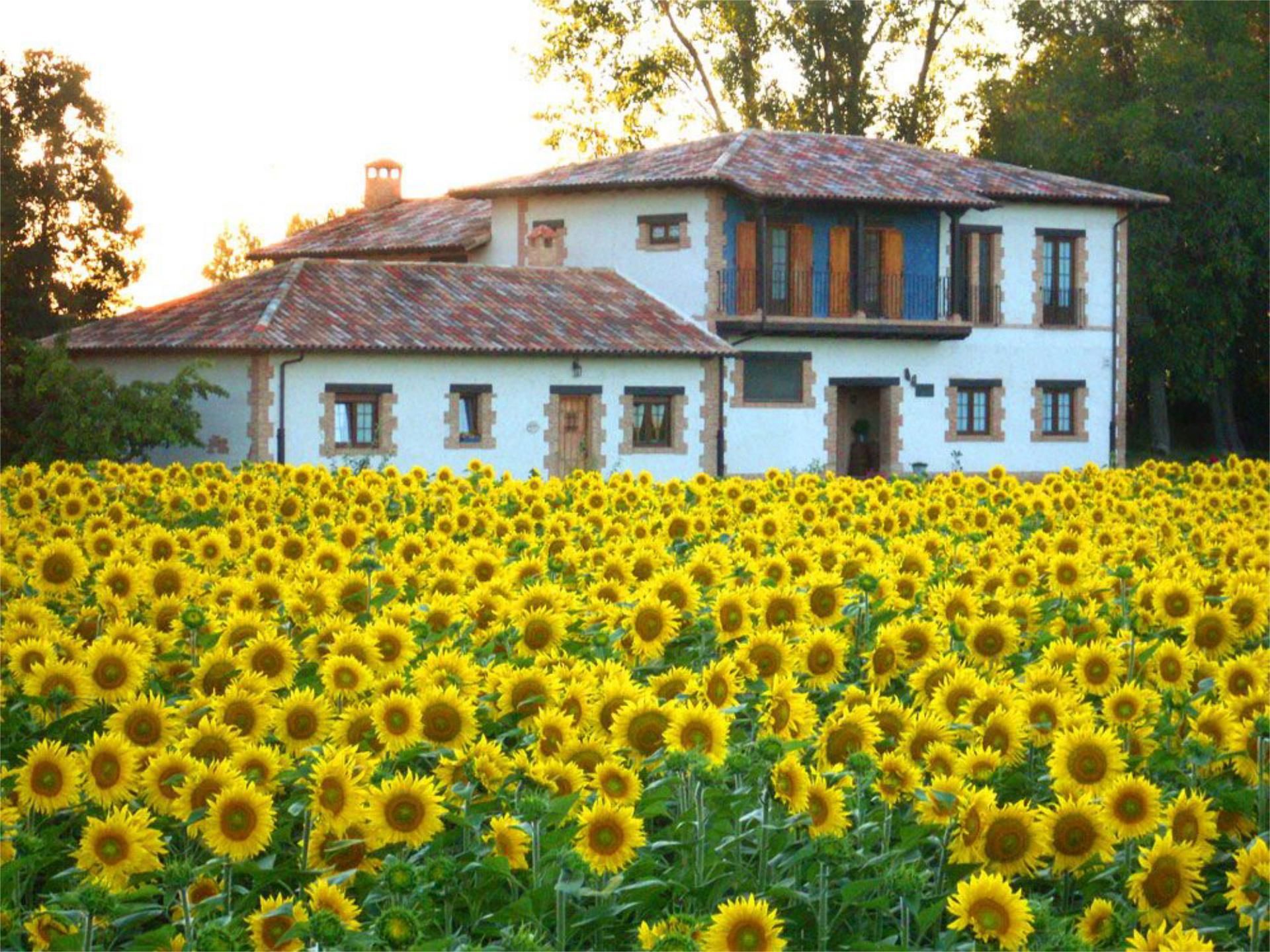 Jardí de Finca rústica en venda en Santa Marina del Rey amb Calefacció, Jardí privat i Parquet