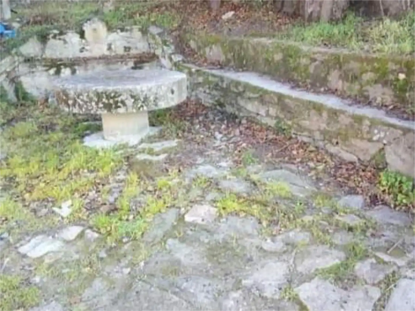 Jardín de Casa adosada en venta en Casas del Monte