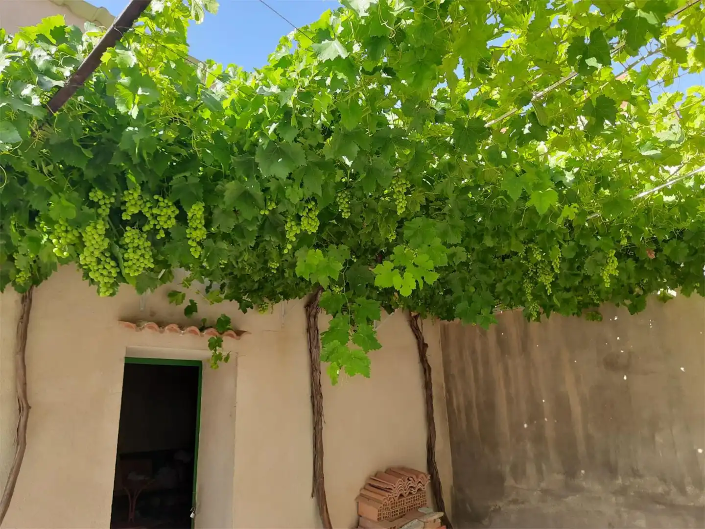 Flat for sale in Plaza AlfonsoXIII, 1, Huélago Garden of Flat for sale in Huélago with Private garden, Storage room and Furnished