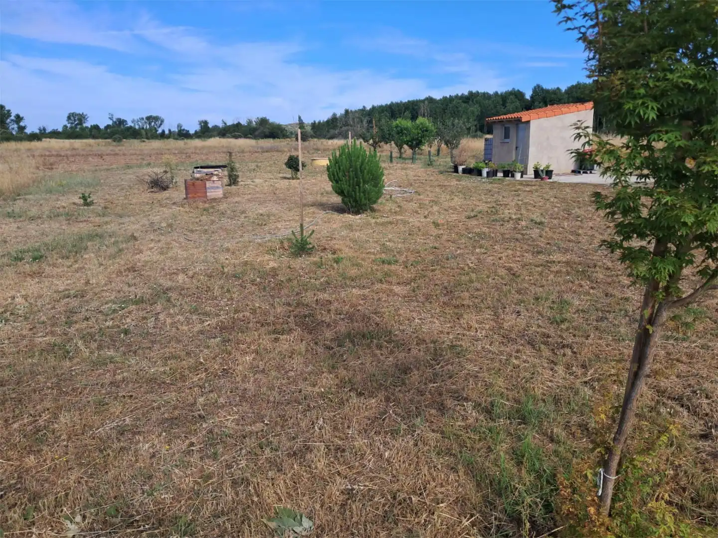 Country homes for sale in Calle Barrero, 11, Camarzana de Tera Country homes for sale in Camarzana de Tera with Private garden