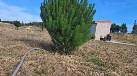 Photo 3 of Country house for sale in Calle Barrero, 11, Camarzana de Tera, Zamora