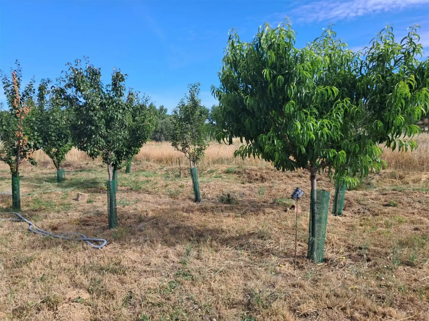 Country homes for sale in Calle Barrero, 11, Camarzana de Tera Country homes for sale in Camarzana de Tera with Private garden