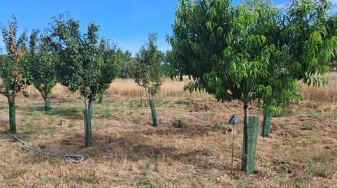 Photo 4 of Country house for sale in Calle Barrero, 11, Camarzana de Tera, Zamora