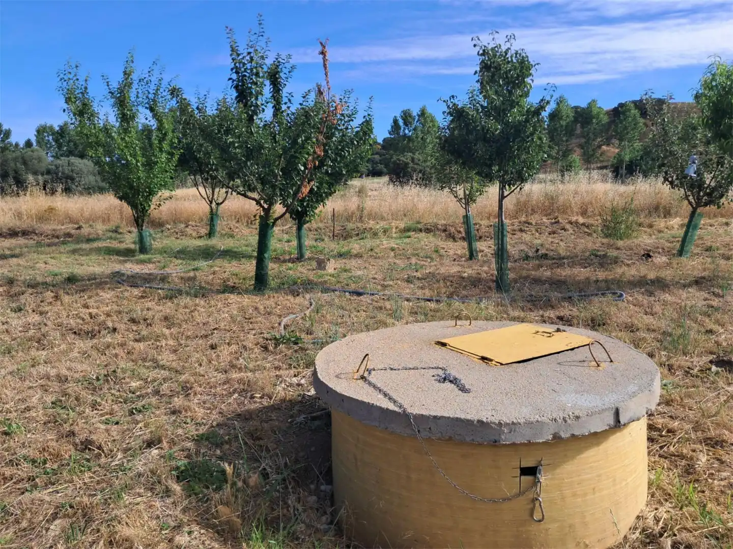 Country homes for sale in Calle Barrero, 11, Camarzana de Tera Country homes for sale in Camarzana de Tera with Private garden