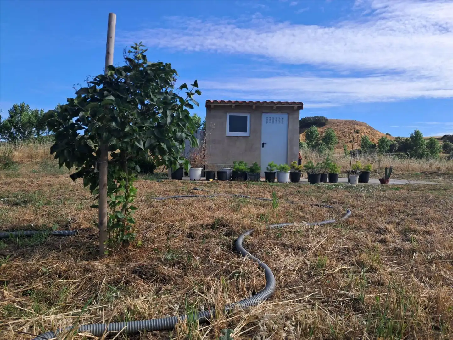 Country homes for sale in Calle Barrero, 11, Camarzana de Tera Country homes for sale in Camarzana de Tera with Private garden