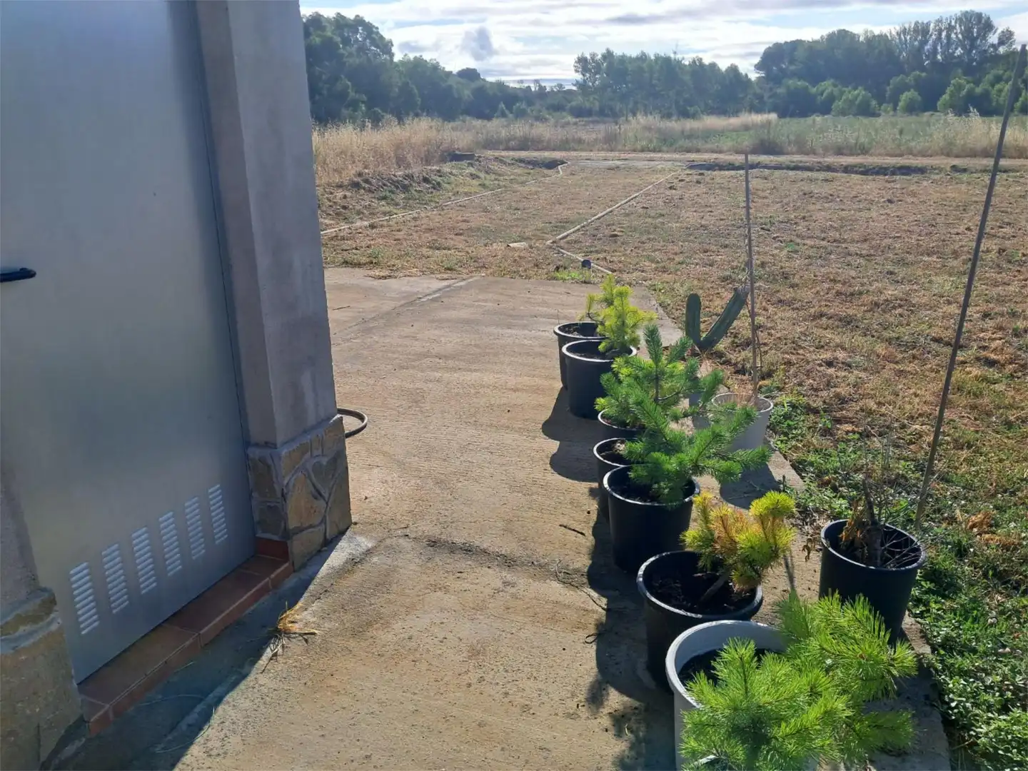 Country homes for sale in Calle Barrero, 11, Camarzana de Tera Garden of Country homes for sale in Camarzana de Tera with Private garden