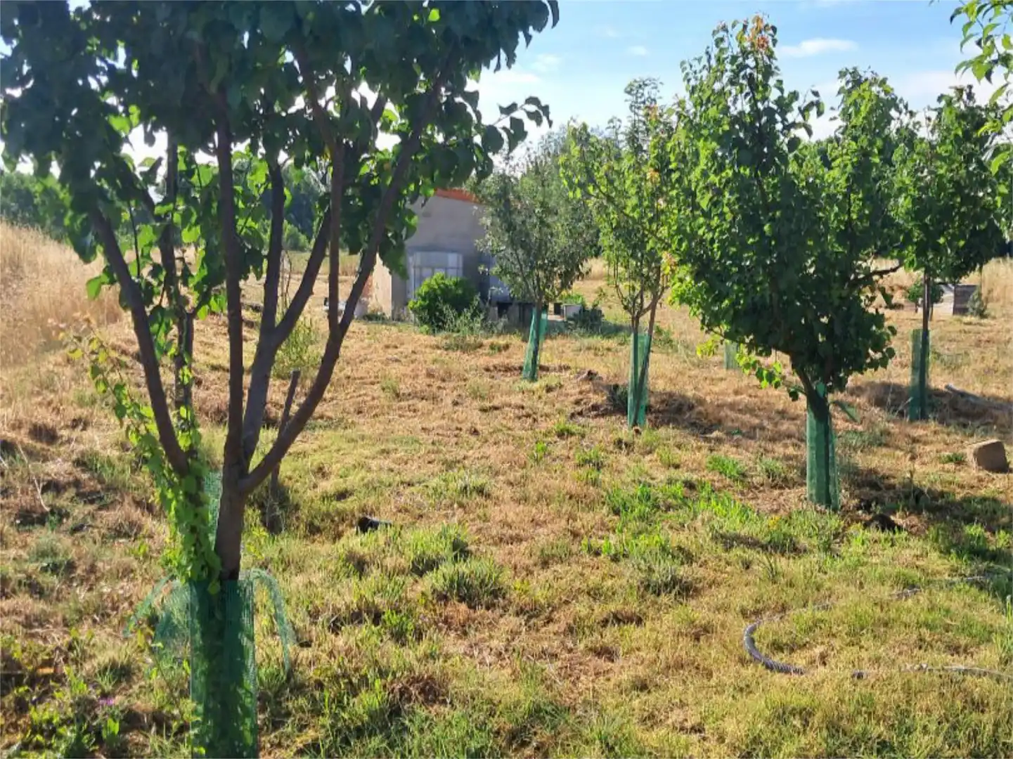 Country homes for sale in Calle Barrero, 11, Camarzana de Tera Country homes for sale in Camarzana de Tera with Private garden