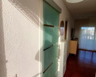 Flat to rent in Calle las Mimosas, 17, Guardamar del Segura