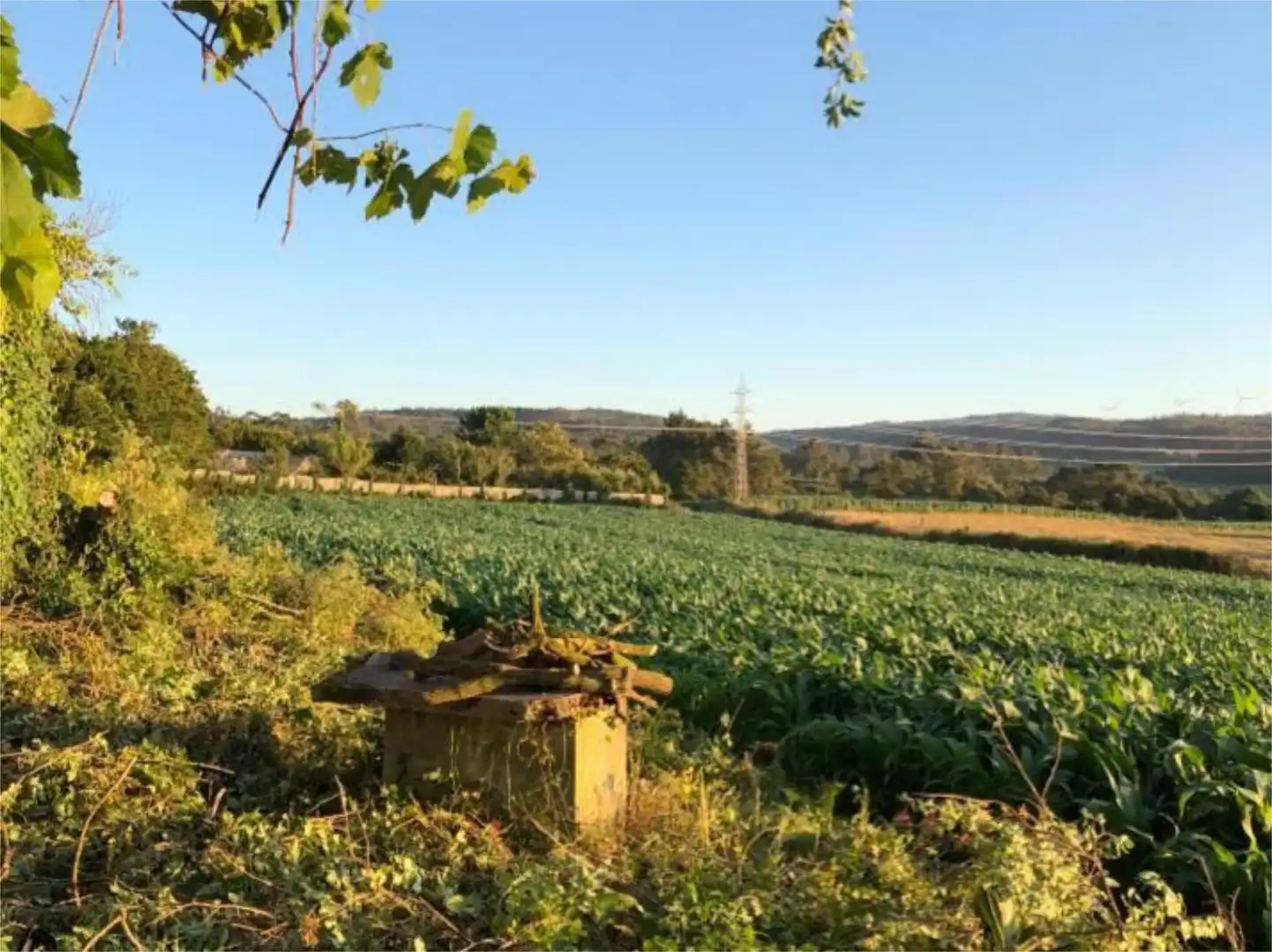Exterior view of Land for sale in Muxía