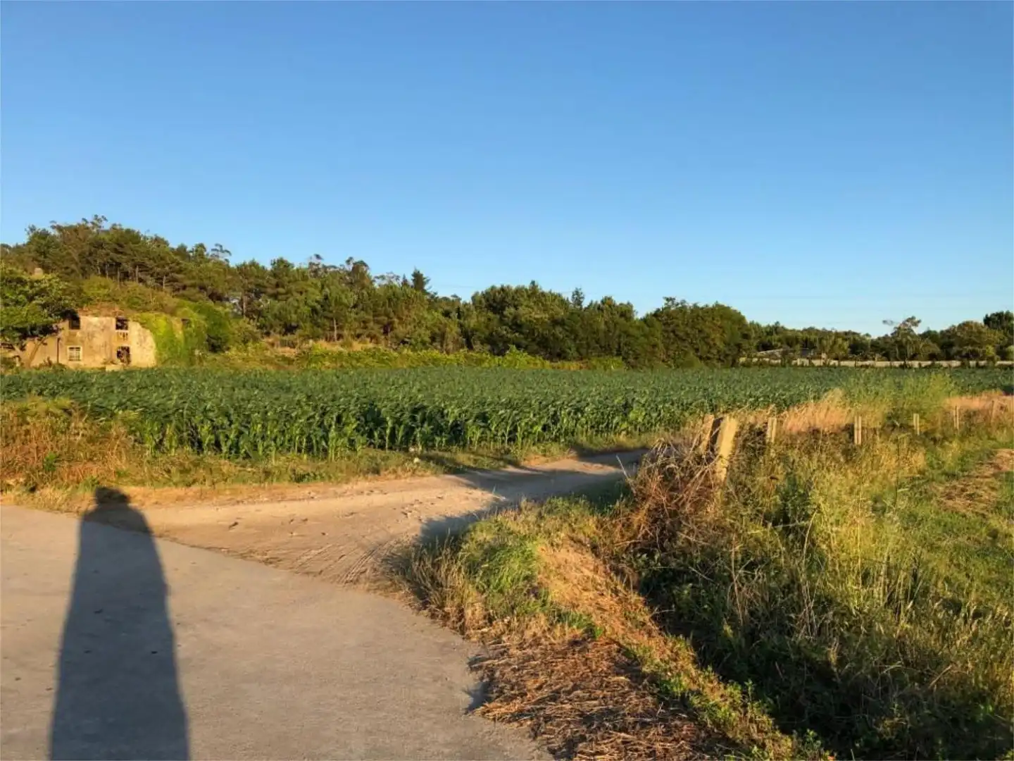Land for sale in Muxía