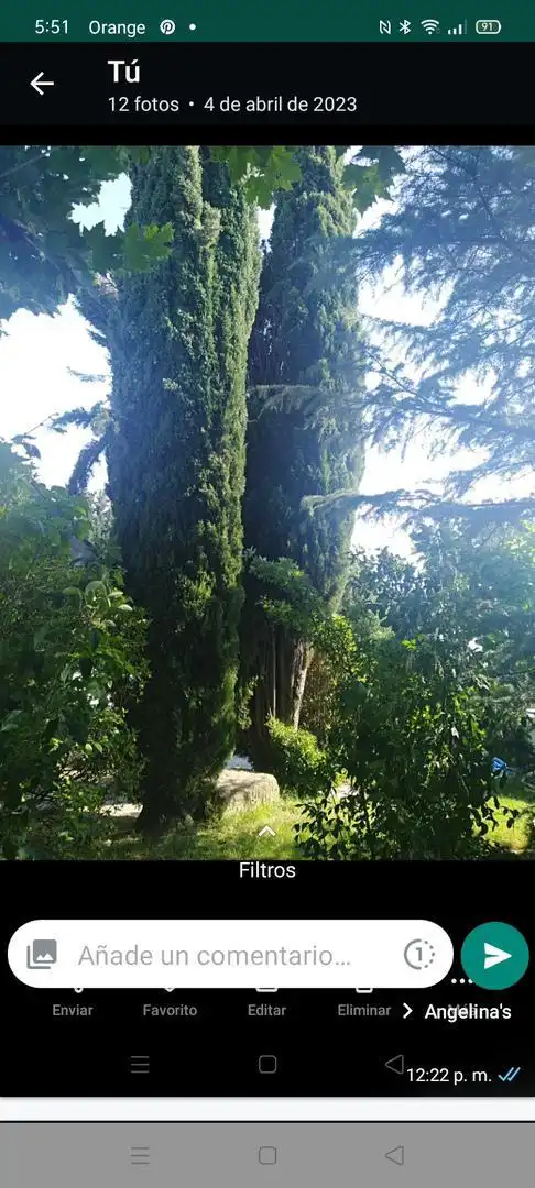 Jardín de Finca rústica en venta en Calahorra con Terraza y Balcón